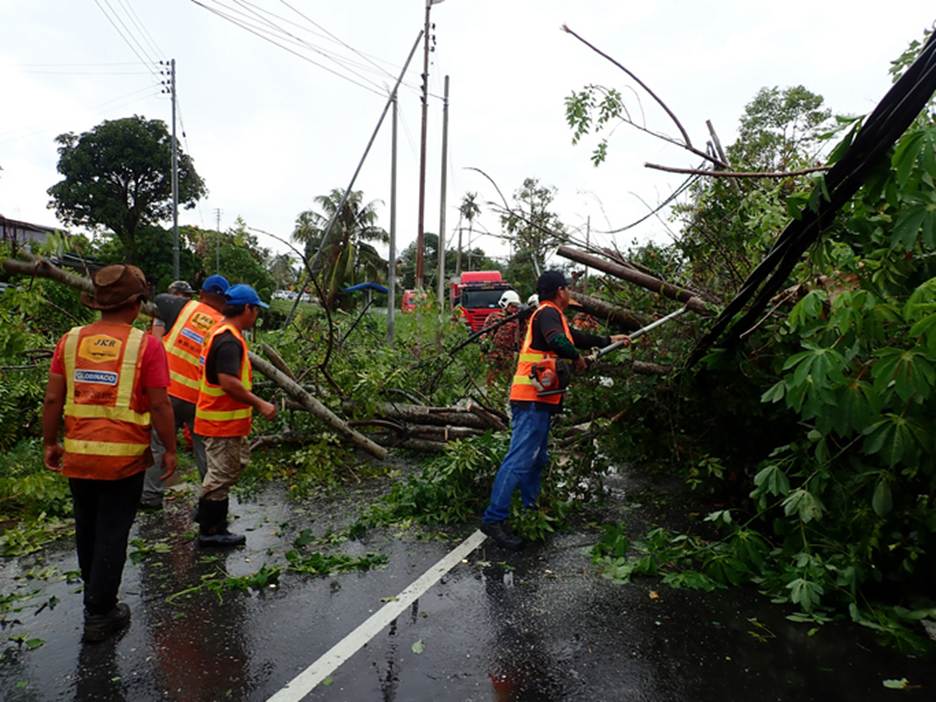 A group of people in orange vests and vests with fallen trees

AI-generated content may be incorrect.